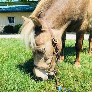 Meet your Posher, Hannah